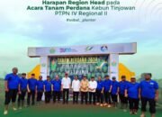 Harapan Region Head pada Acara Tanam Perdana Kebun Tinjowan PTPN IV Regional II