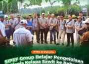 SIPEF Group Belajar Pengelolaan Bisnis Kelapa Sawit ke Kebun Bah Jambi PTPN IV Regional II