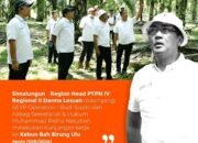 Region Head PTPN IV Regional II Darma Lessan di Dampingi SEVP Operation I Budi Susilo dan Kabag Sekretariat & Hukum Muhammad Ridho Nasution, Melakukan Kunjungan Kerja ke Kebun Bah Birung Ulu