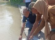 Peduli Lingkungan Hidup, Management PKS Sei Mangkei PTPN IV Regional I Lakukan Penaburan Benih Ikan Di Aliran Sungai Bahbolon