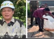 Penaburan Benih Ikan di aliran Sungai Padang Tj.Marulak Hilir Oleh Managemen Unit PKS Rambutan PTPN IV Regional 1 dalam Rangka Memperingati Hari Lingkungan Hidup Sedunia