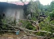 Sembilan Rumah Warga Desa Dolok Merawan Sergai Diterjang Hujan Deras Disertai Angin Kencang