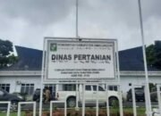 PPK Sedang Diproses Hukum Masih Dipercaya,Kadis Pertanian Simalungun Janjikan Pergantian