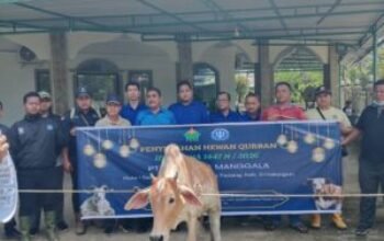 Penyerahan Hewan Kurban oleh PT Jaya Wira Manggala kepada Masjid Miftahul Jannah Nagori Sayur Matinggi